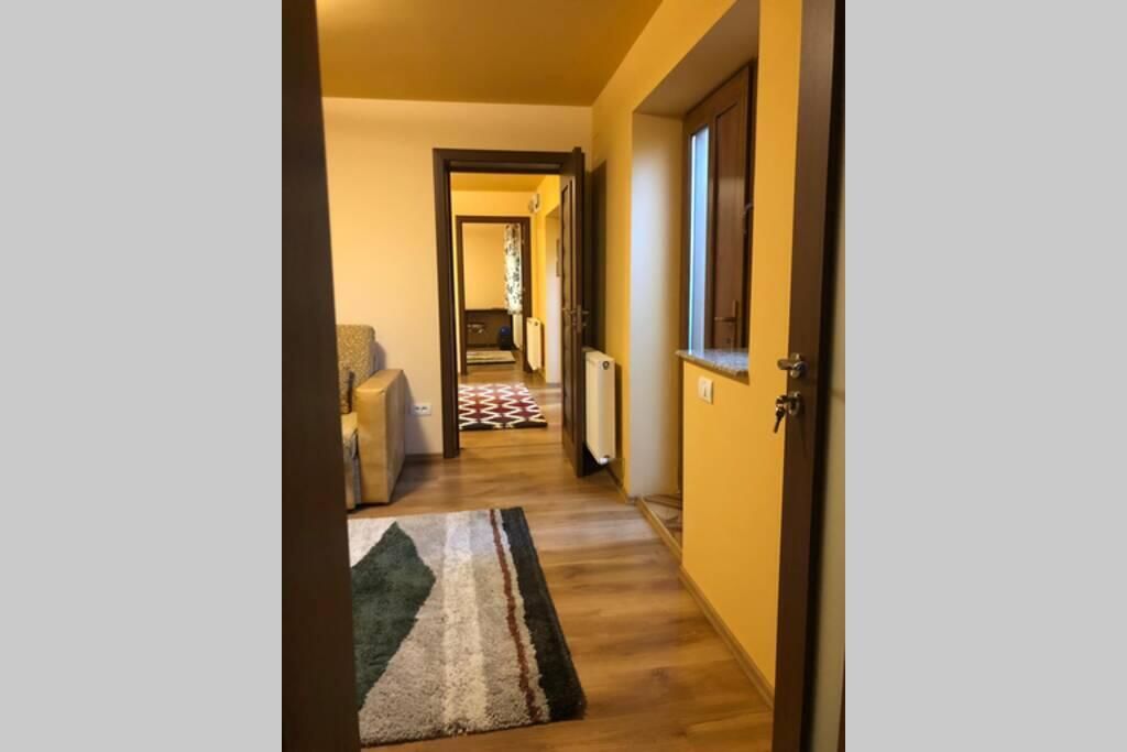 Дома для отпуска Casa Roxana Констанца-19